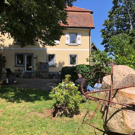 Hofgut Leo Hotel Zell im Wiesenthal ภายนอก รูปภาพ