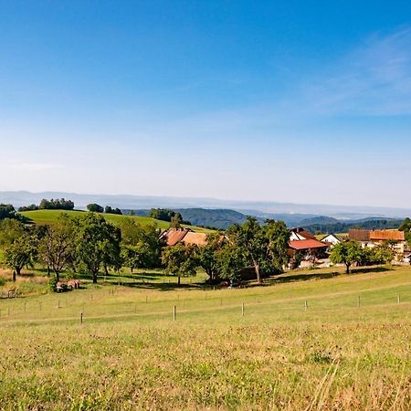 Hofgut Leo Hotel Zell im Wiesenthal ภายนอก รูปภาพ